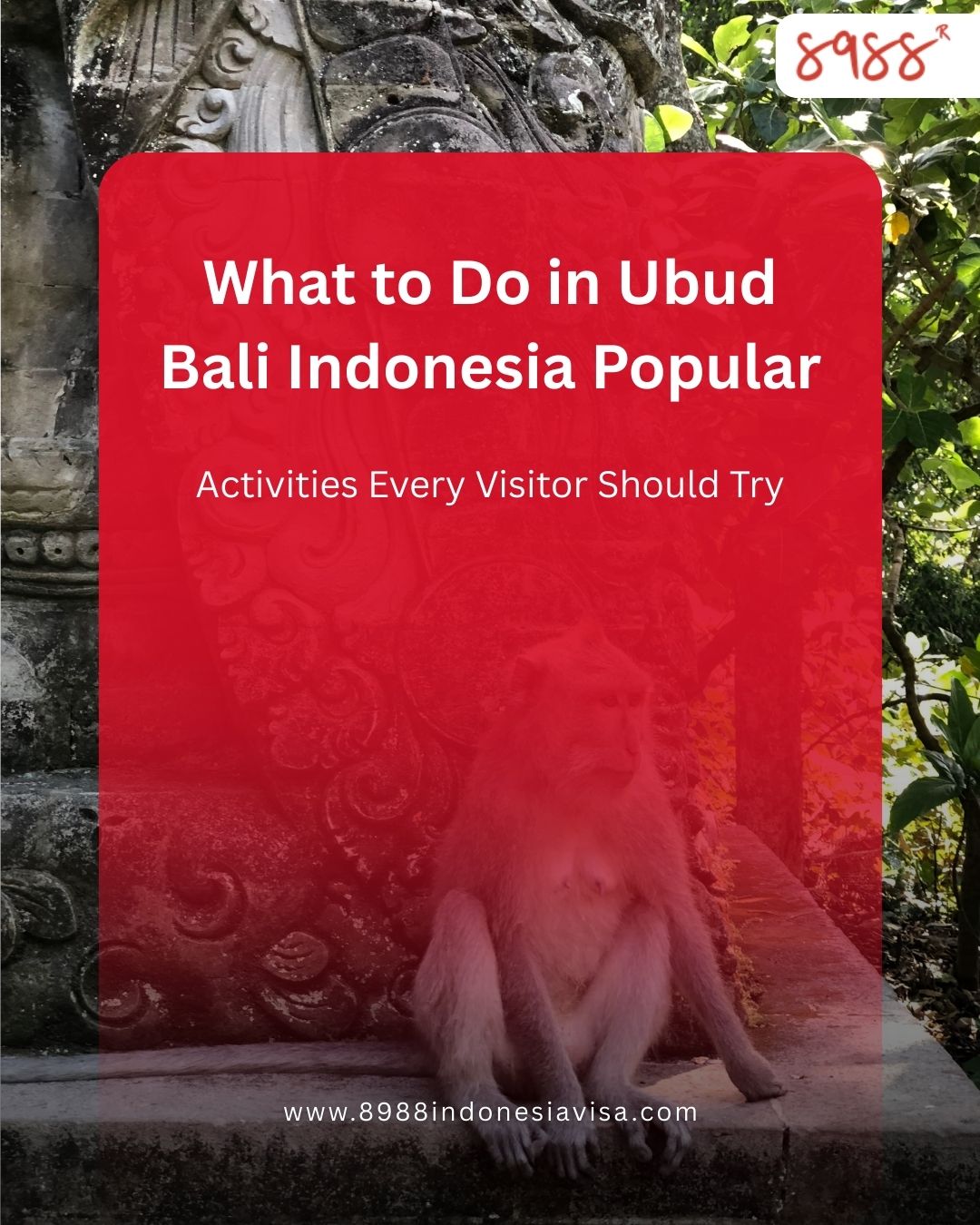 What To Do in Ubud Bali Indonesia Popular