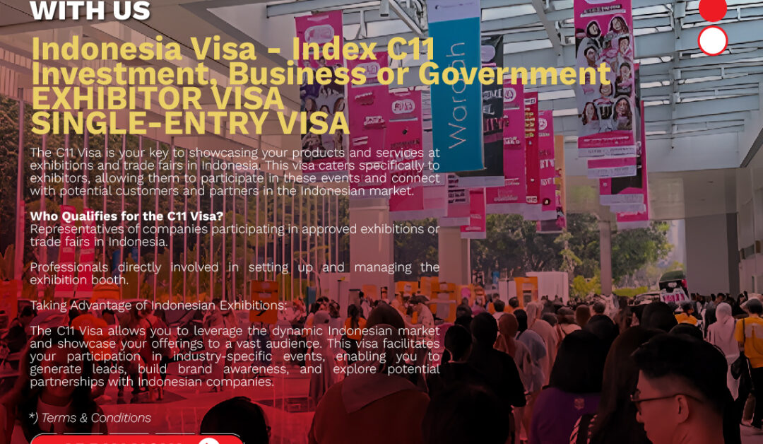 INDONESIA E-VISA C11