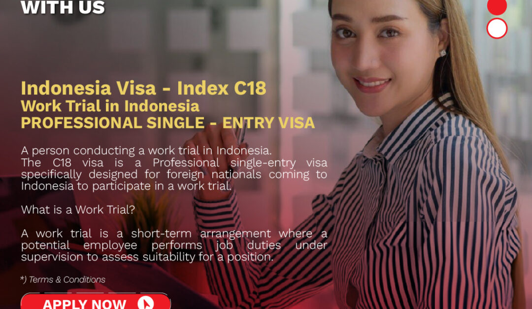 INDONESIA E-VISA C18
