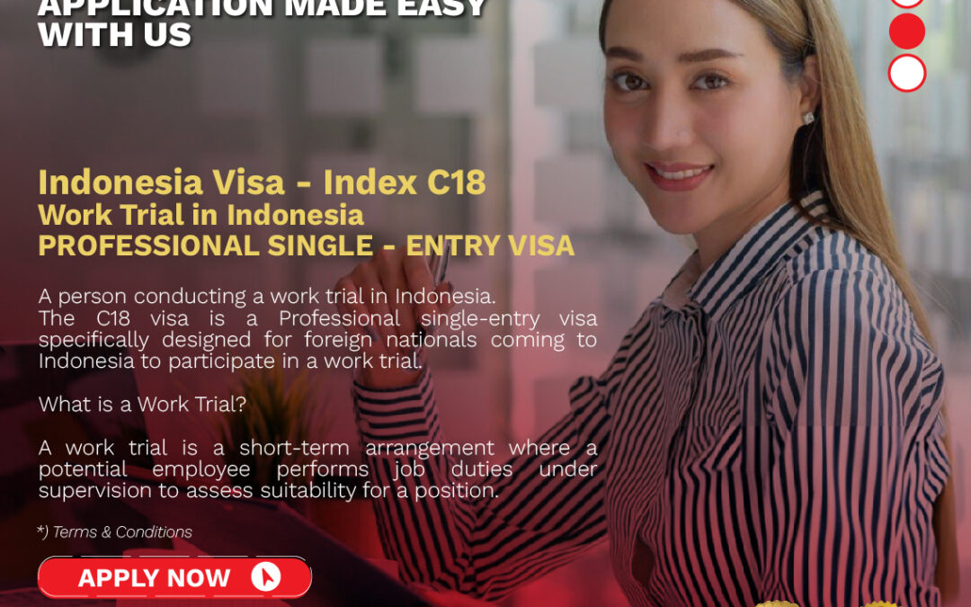 INDONESIA E-VISA C18