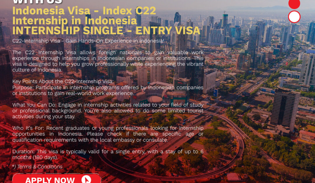 INDONESIA E-VISA C22