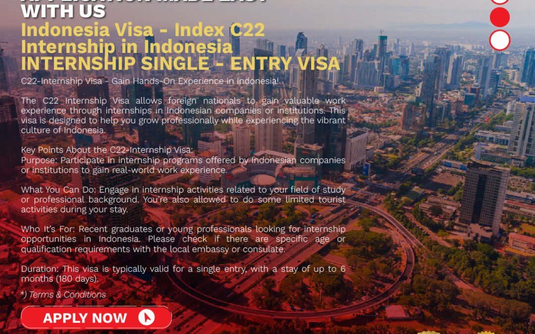 INDONESIA E-VISA C22