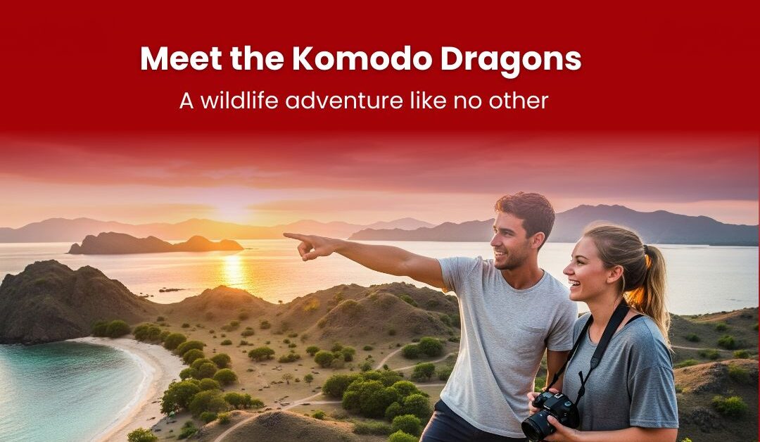 Meet the Komodo Dragons: Earth’s Last Dragons 🐉
