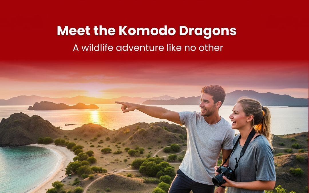 Meet the Komodo Dragons: Earth’s Last Dragons 🐉