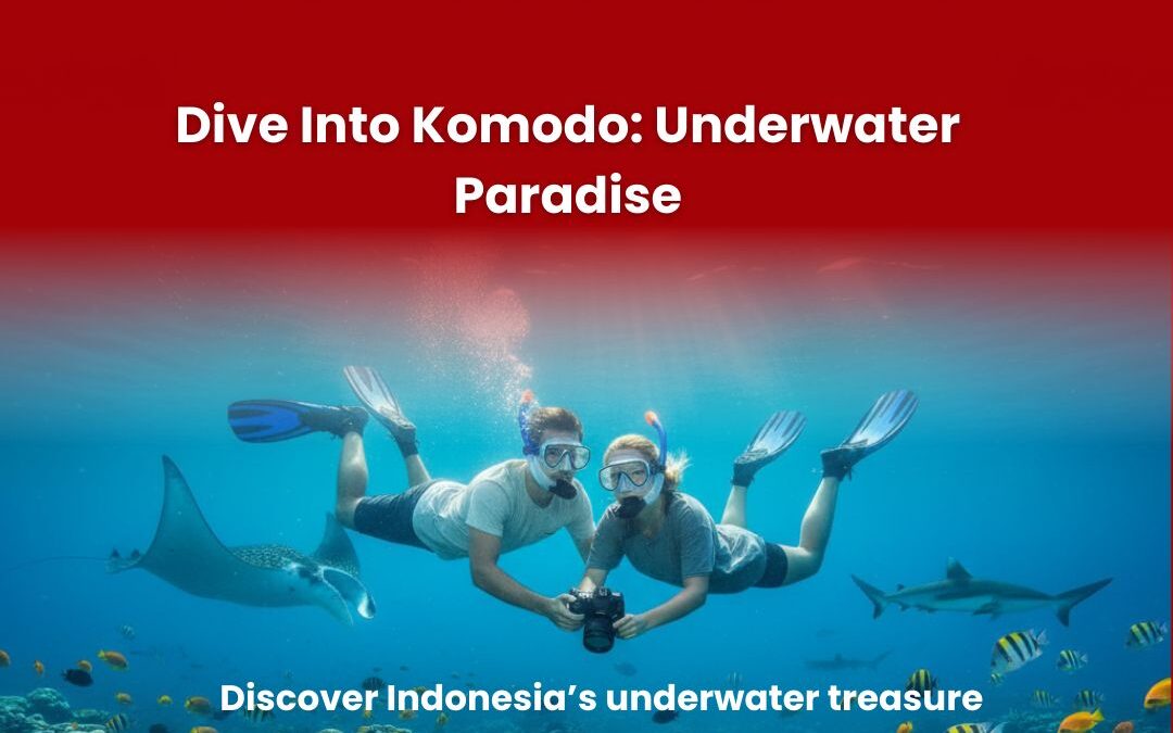 Dive Into Komodo: Underwater Paradise 🤿🐠