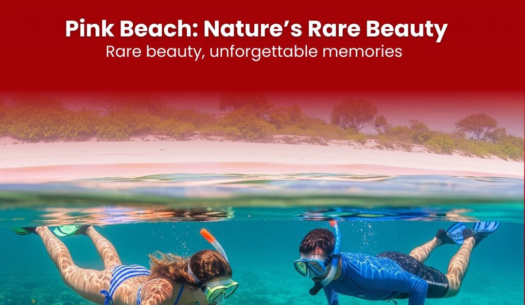 Pink Beach: Nature’s Rare Beauty