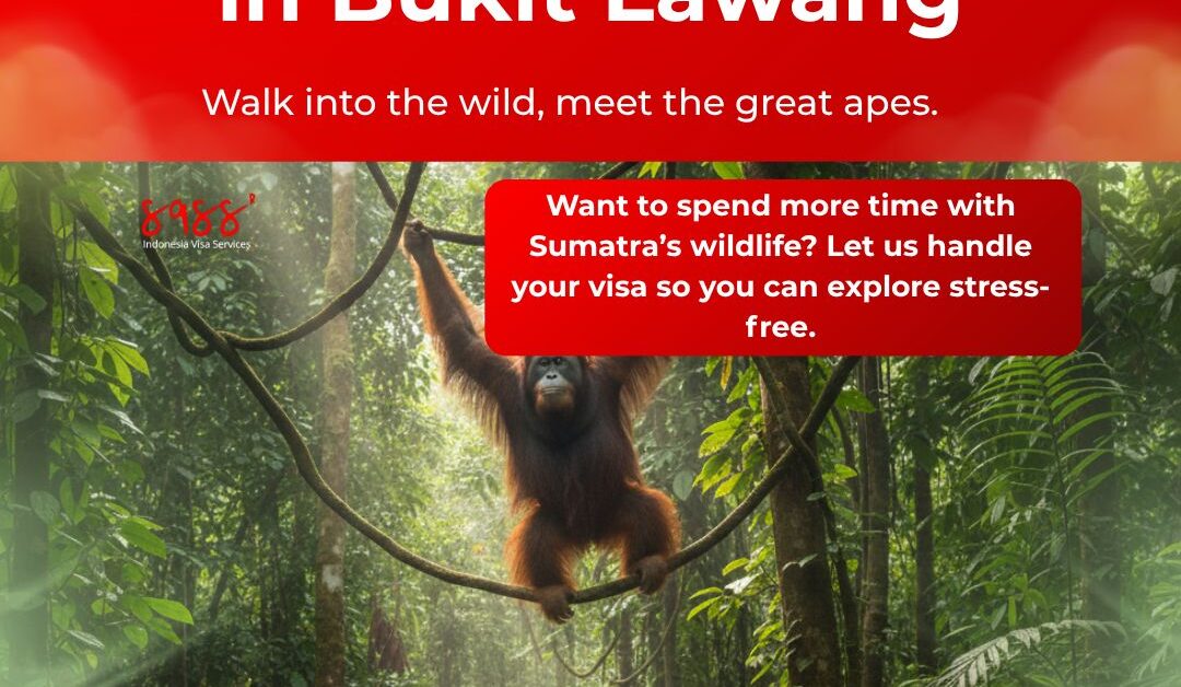Orangutan Trekking in Bukit Lawang ππΏ