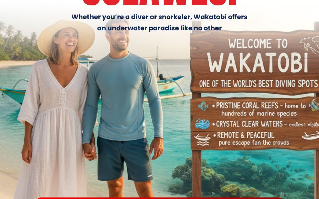 Wakatobi: Diving Heaven of Indonesia 🌊🐠