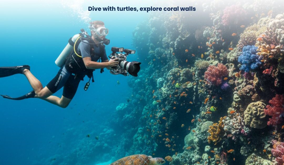 Indonesia visa types