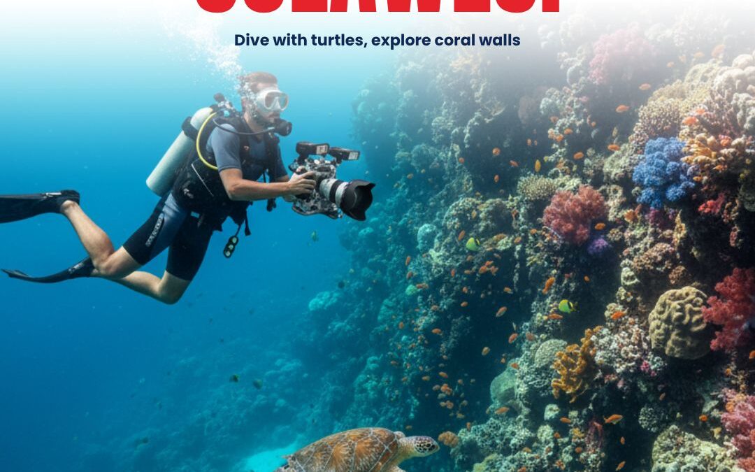 Indonesia visa types