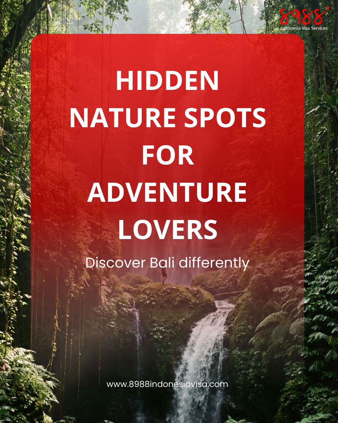 WhatsApp Image 2026-01-30 at 09.11.34