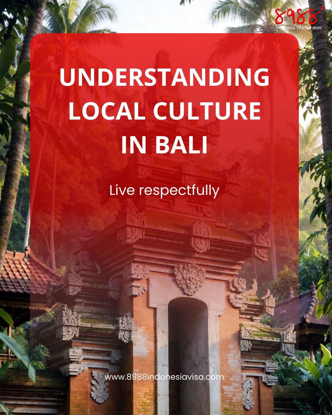 WhatsApp Image 2026-03-04 at 08.57.50