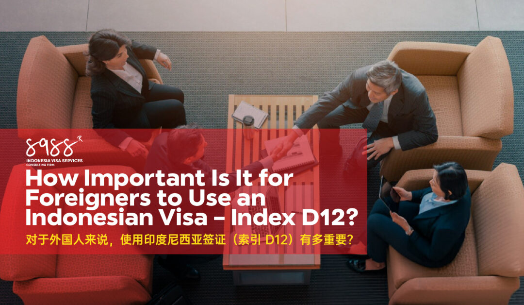 How Important Is It for Foreigners to Use an Indonesian Visa – Index D12?