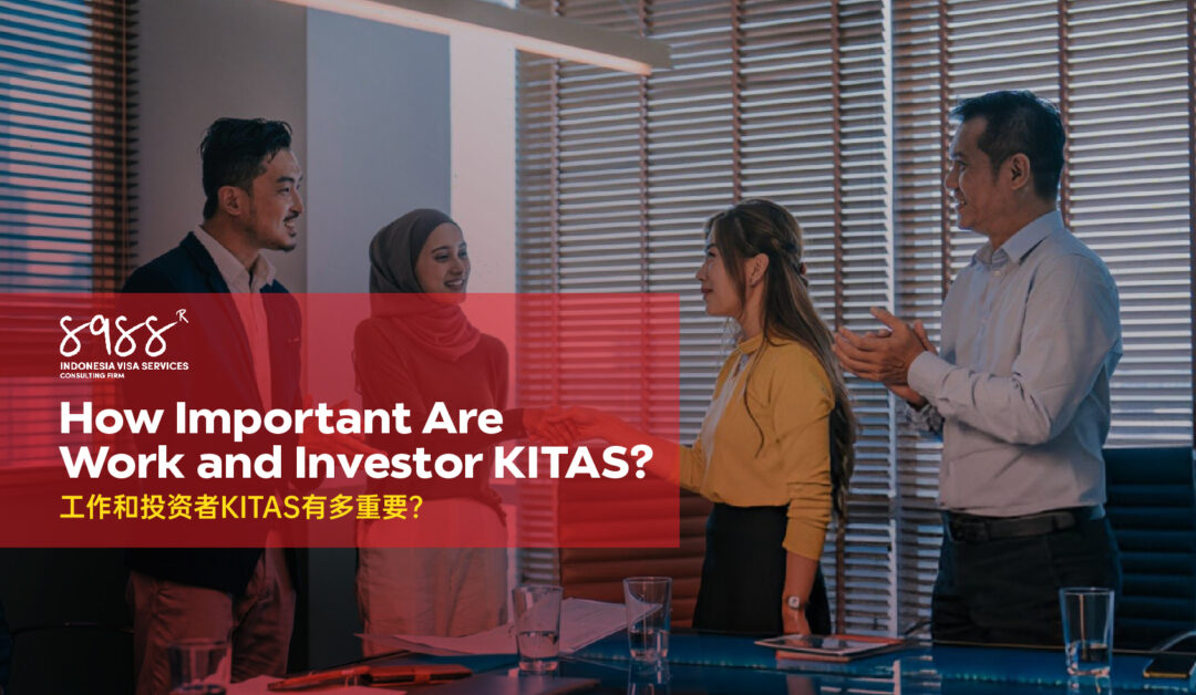 How Important Are Work and Investor KITAS?