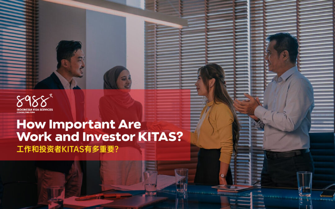 How Important Are Work and Investor KITAS?